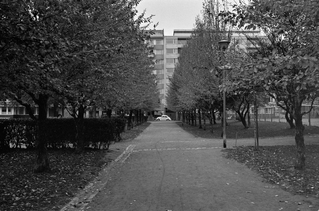 Kävelykatu syksyisessä Tehtaanpuistossa