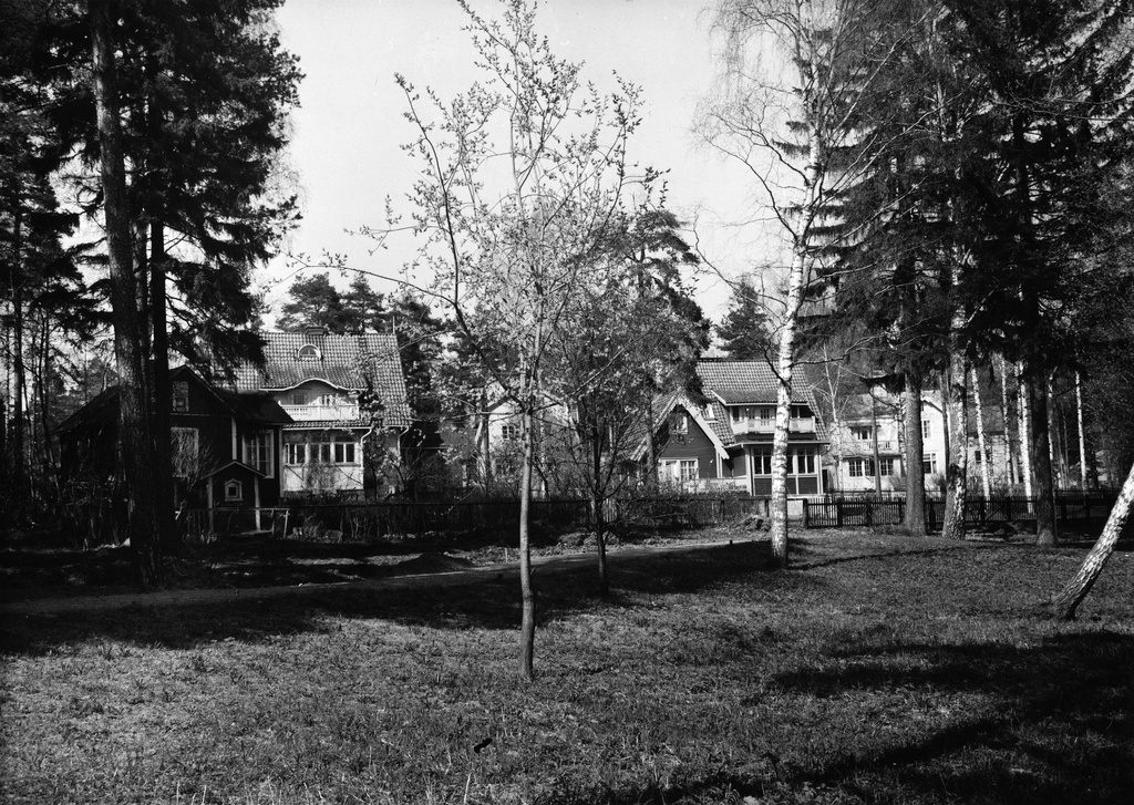 Kulosaari