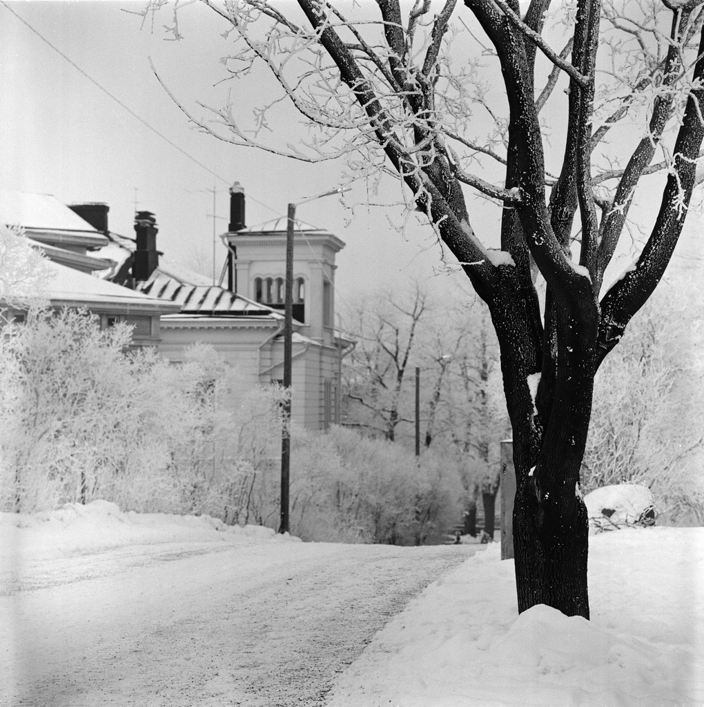 Myllytie 1 Kaivopuistossa talvella.