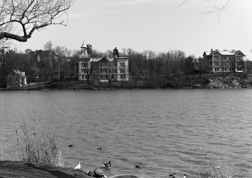 Näkymä Hesperian puistosta Töölönlahden yli kohti Linnunlaulun huviloita.