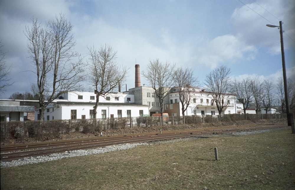 Türi Oakers