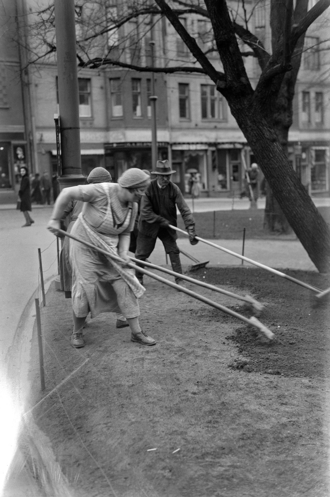 Puiston kunnostustöitä Kolmikulman puistikossa.