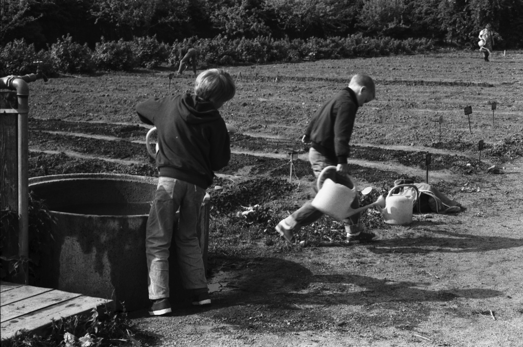 Vähänkyröntie 2-4. Kaksi poikaa (Tuomas Heikkilä ja Aapo Rista) hakemassa kastelukannuilla vettä kaivosta kastellakseen maata istutustöiden aikaan Kumpulan koulukasvitarhassa.