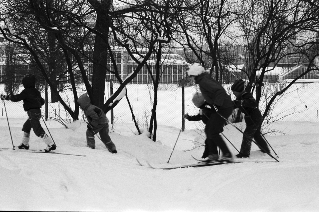 Kaisaniemenpuisto