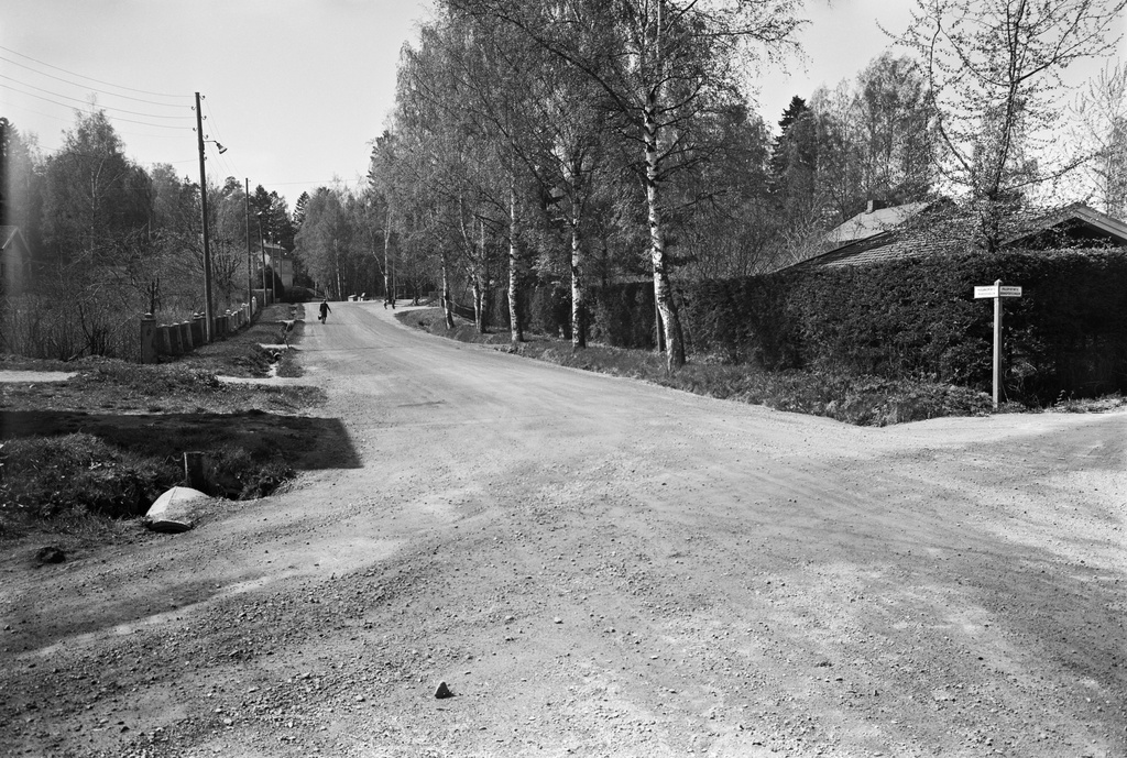 Marjaniemi