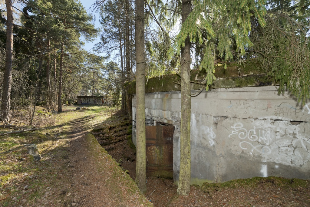 Skatanniemi