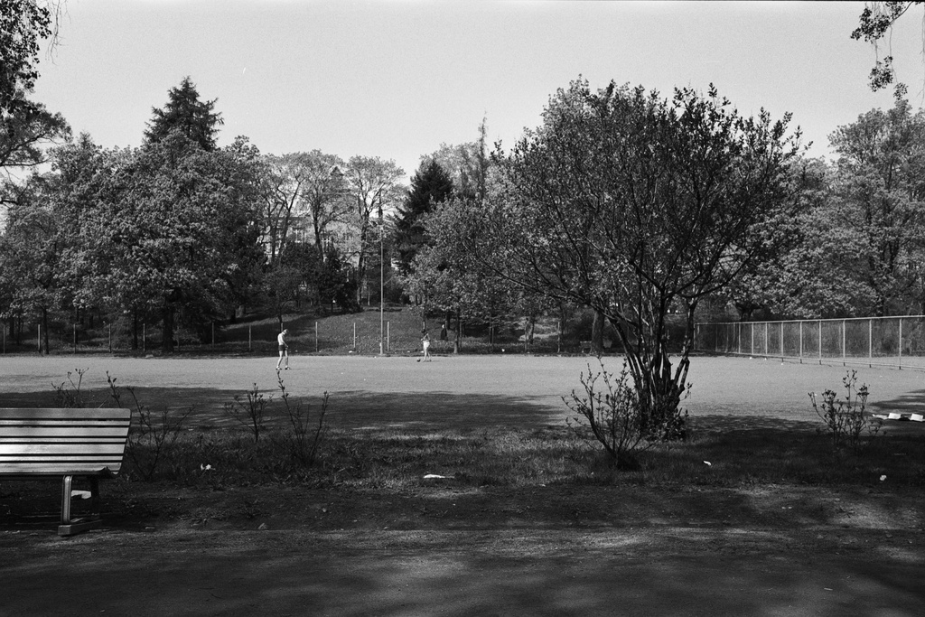 Kaisaniemenpuisto