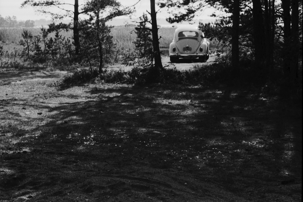 Kallahdenniemi. Auto, Volkswagen Kupla puiden siimeksessä Kallahdenniemen rannalla Vuosaaressa.