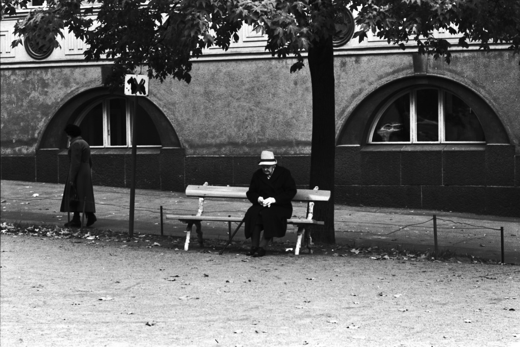 Vanha nainen istumassa penkillä syksyisessä Apollonpuistikossa Etu-Töölössä. Taustalla Minervanpolku 2.