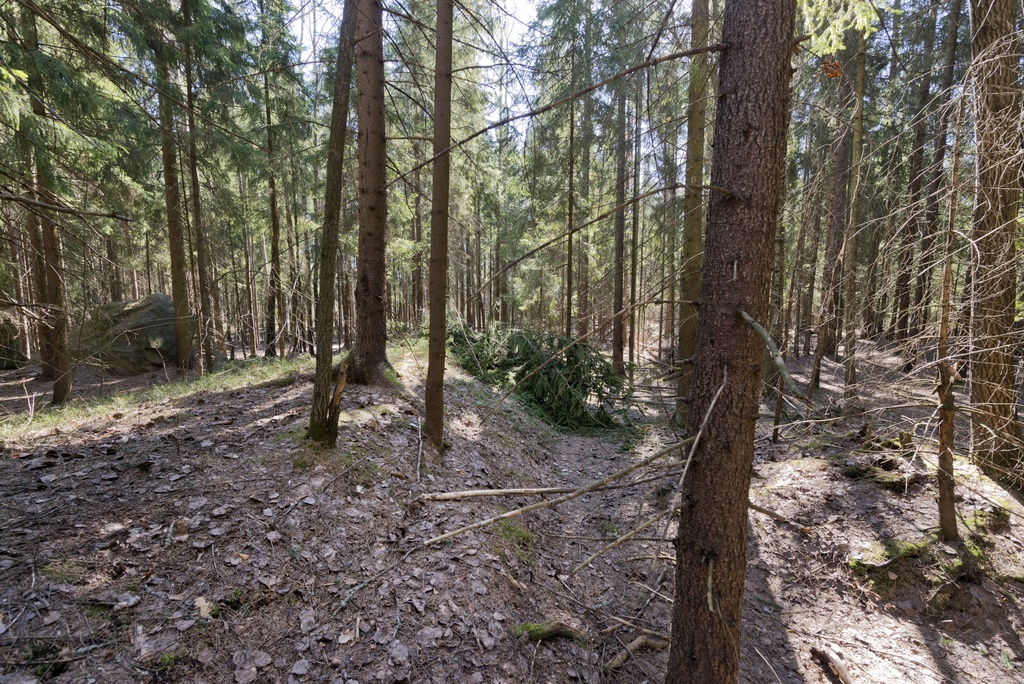 Länsimäki