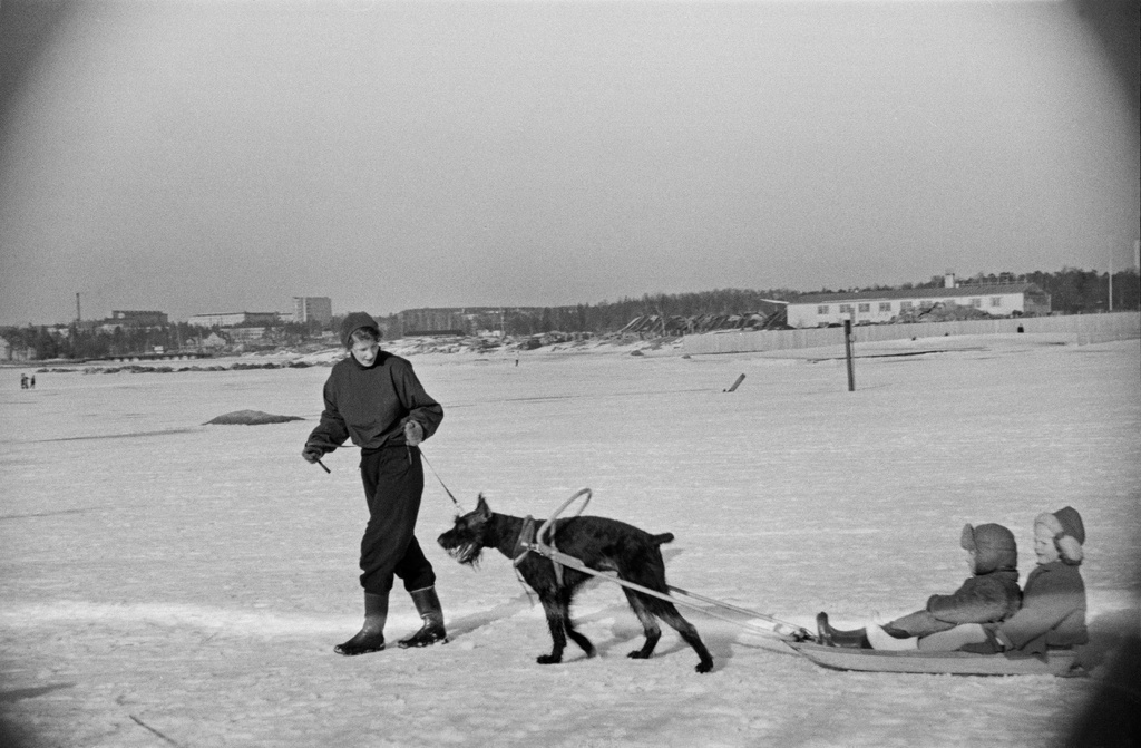 Nainen, kaksi lasta ja koira Taivallahden jäällä