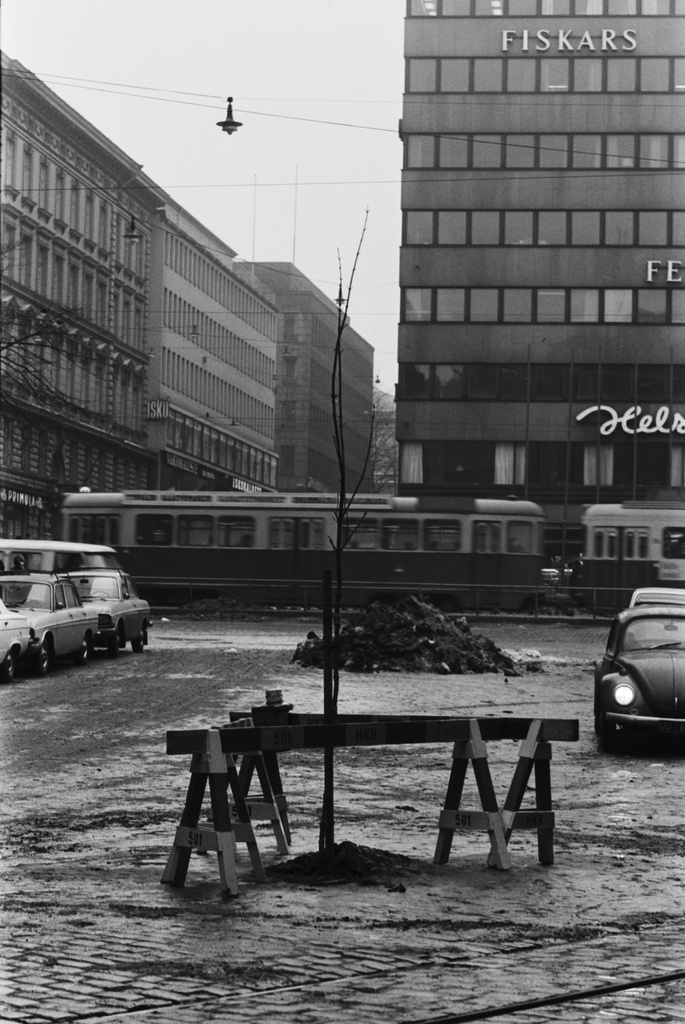 Kluuvi Aleksanterinkatu Puomien ympäröimä verivaahtera Stockmannin tavaratalon edustalla