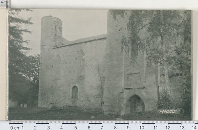 Ruins of the Padise monastery