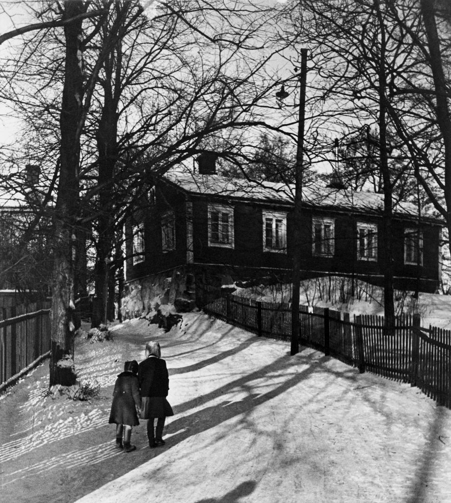 Eläintarhan huvila 14:n tontilla sijainnut talo "Gröna Villan". Rakennusta kutsuttiin näin vielä 1870-luvulle. Siitä eteenpäin talo sai uudet asukkaat, joiden aikana rakennus sai uuden värin. Sitä alettiin kutsua  "Röda Villaniksi". Valokuvassa vasemmalla näkyy kapea kaistale rautatieläisten asuinrakennusta, joita oli vierekääin kaksi. Ne olivat radan varressa kallioleikkauksen reunassa. Kuvattu Eläintarhanlahden puolelta.
