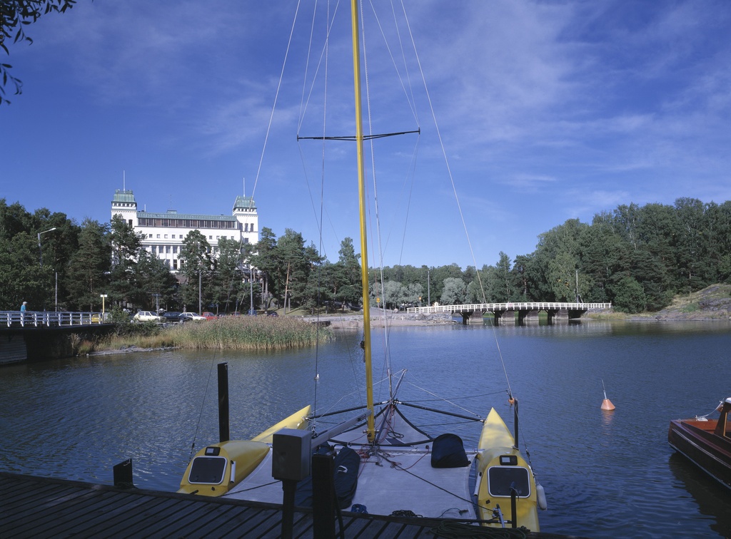 Hopeasalmentie 24, Kulosaari
