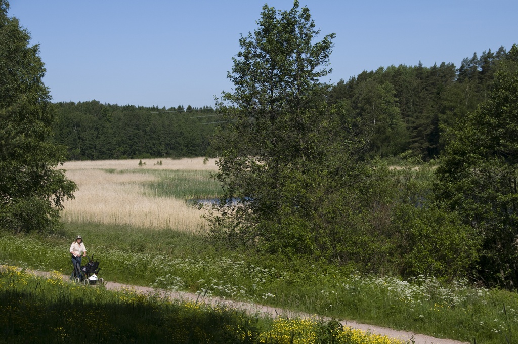 Salmenkallio
