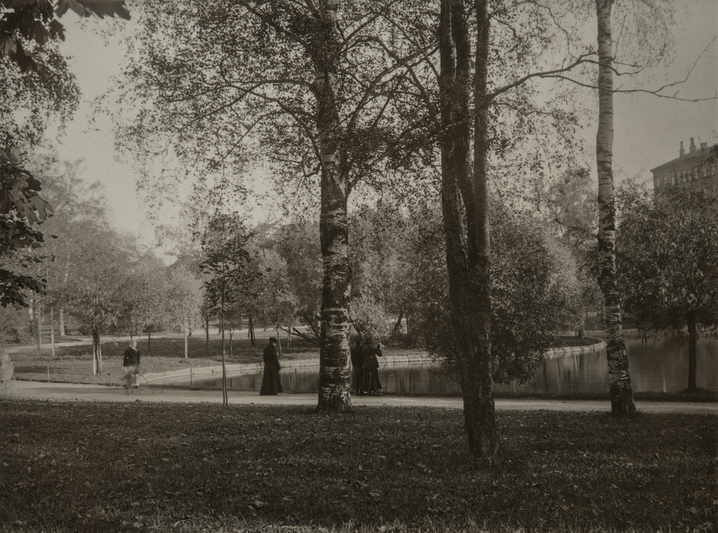 Kaisaniemen joutsenlampi.