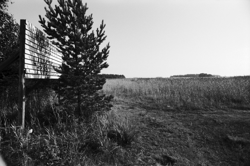 Kallahdenniemi