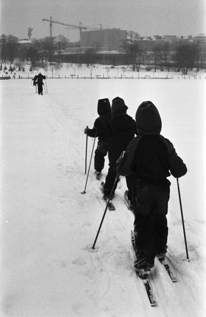Eläintarhanlahti