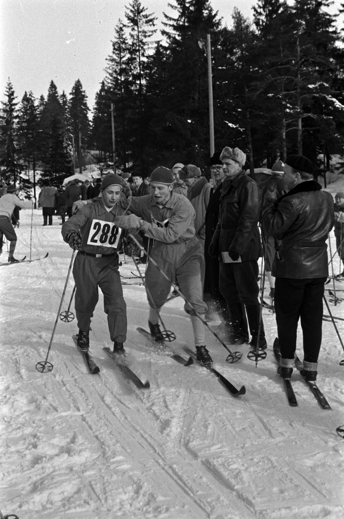 Hiihtäjiä, hiihtokilpailut Ruskeasuon liikuntapuistossa / Keskuspuistossa.