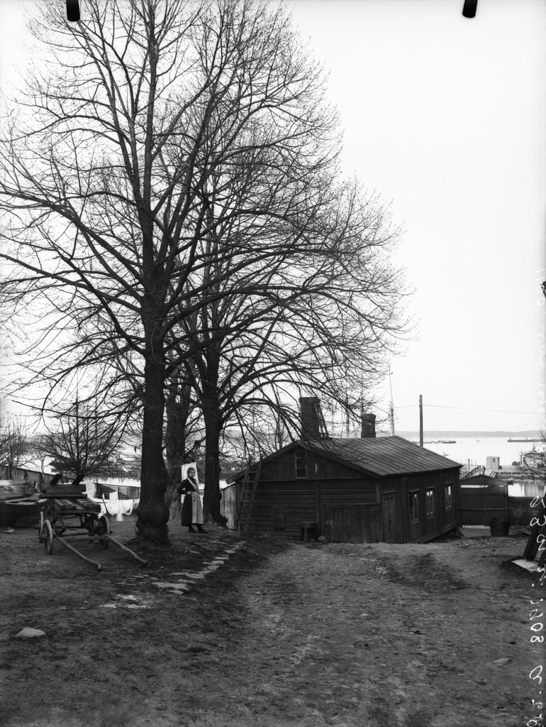 Pohjoisranta 8 - Rauhankatu 2, pihakuva, keskellä puiden välissä seisoo nainen. Kortteli Saukko. Rakennus purettu n. 1925.
