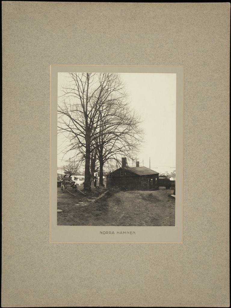 Pohjoisranta 8 - Rauhankatu 2, pihakuva, keskellä puiden välissä seisoo nainen. Kortteli Saukko. Rakennus purettu n. 1925.