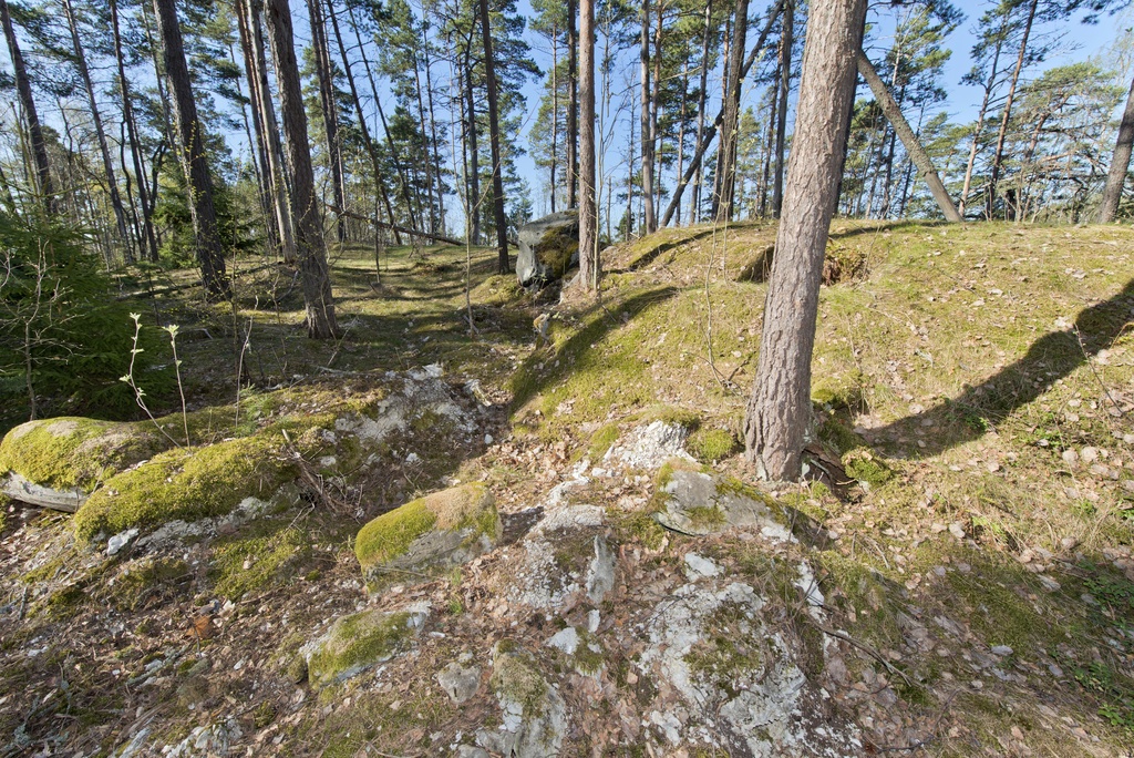 Skatanniemi. Ensimmäisen maailmansodan aikainen rannikkotykkipatteri Skatanniemessä, Vuosaaressa. Kuvassa on tykkipatterin lähellä olleen betoninvalmistusaseman jäänteitä. Vasemmalla on kivettynyt betonitynnyri, jonka kyljessä näkyy jälkiä alkuperäisen tynnyrin puusta.