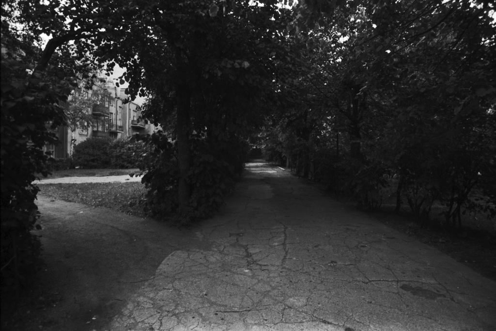 Kapteeninkatu 16. Vehreä näkymä Kapteeninkatu 16:n pihalta.