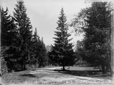 Eläintarhan puistoa.  duplicate photo