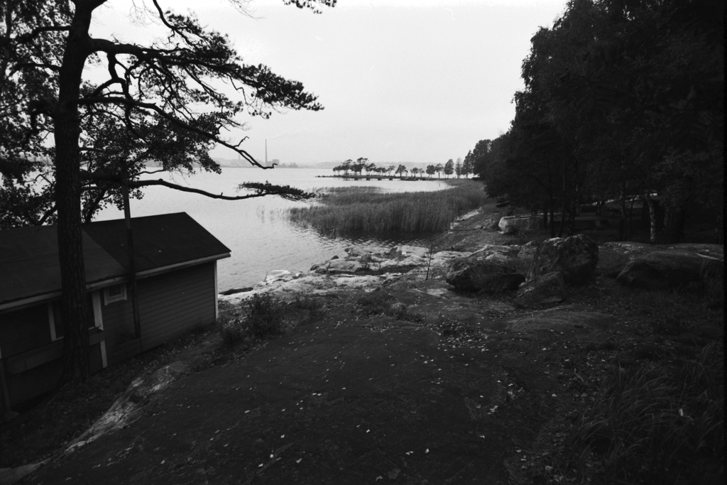 Kulosaari