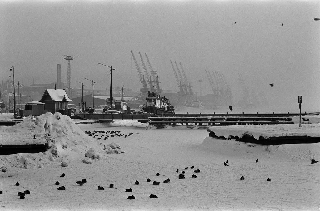 Näkymä Kolera-altaan reunalta Eteläsatamaan.