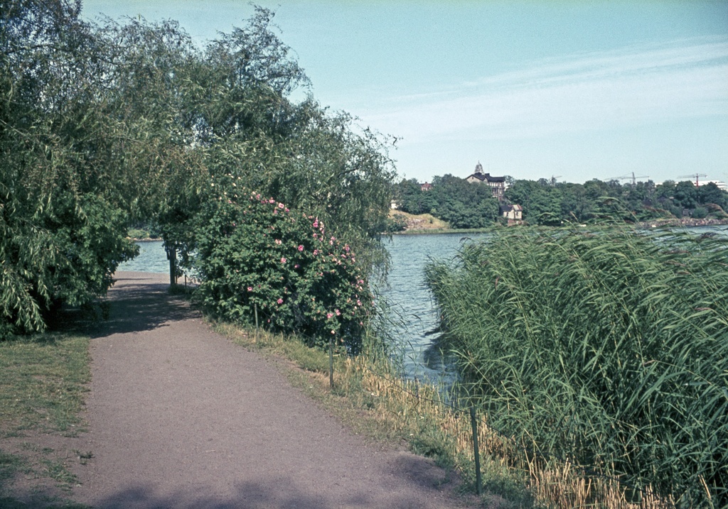 Töölönlahden rantaa, taustalla Linnunlaulun huviloita.