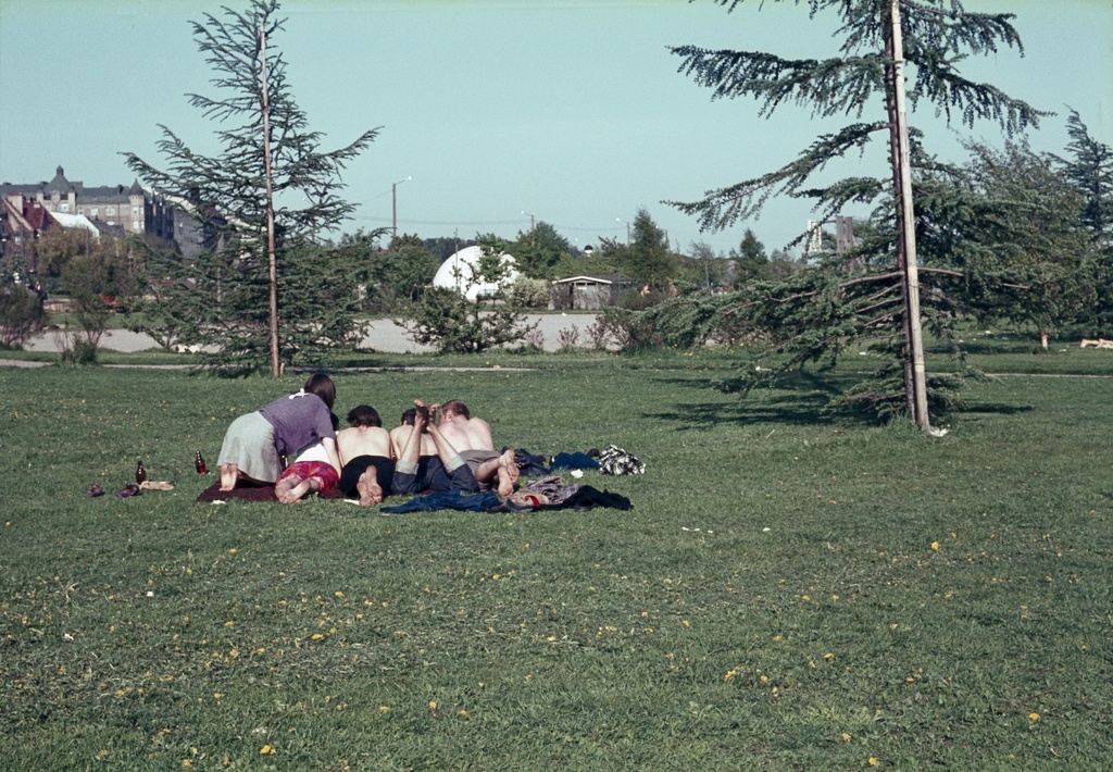 Merisatamaranta (=Merisatamanranta, Meripuisto), auringossa lepäileviä nuoria.