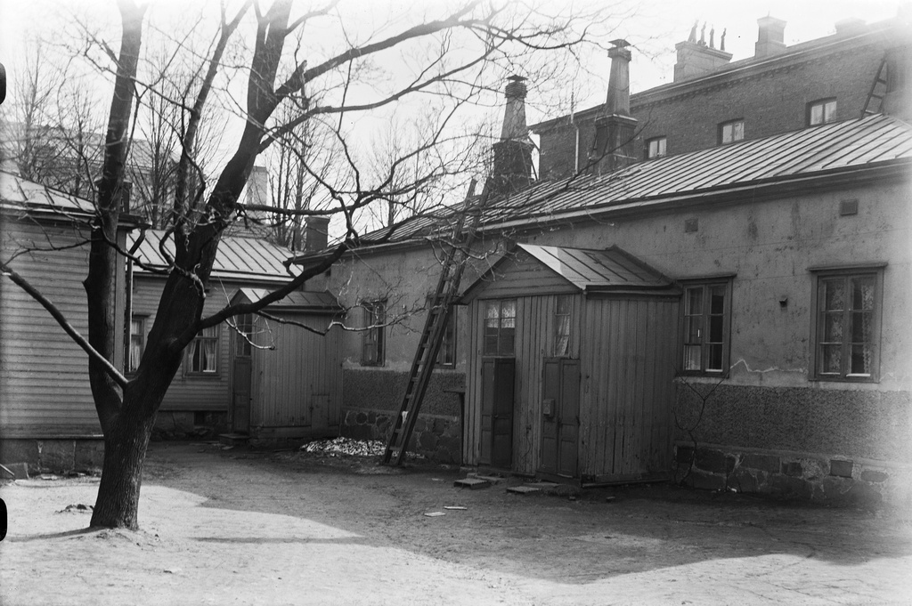 Pihakuva Lönnrotinkatu 28:sta.