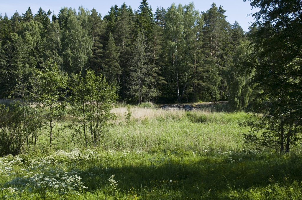 Salmenkallio. Porvarinlahden kalkkilouhos nähtynä Porvarinlahden etelärannalta. Louhos sijaitsee Porvarinlahden pohjoisrannalla lähellä ulkoilutien siltaa. Louhokset olivat käytössä Viaporin eli Suomenlinnan rakentamisen aikana 1700-luvun jälkipuoliskolla.