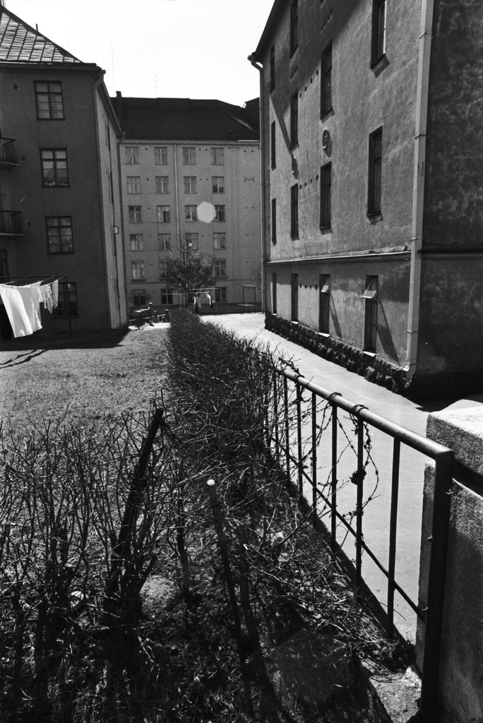 Torkkelinkatu 19. Torkkelinkatu 19:n pihapiiriä.