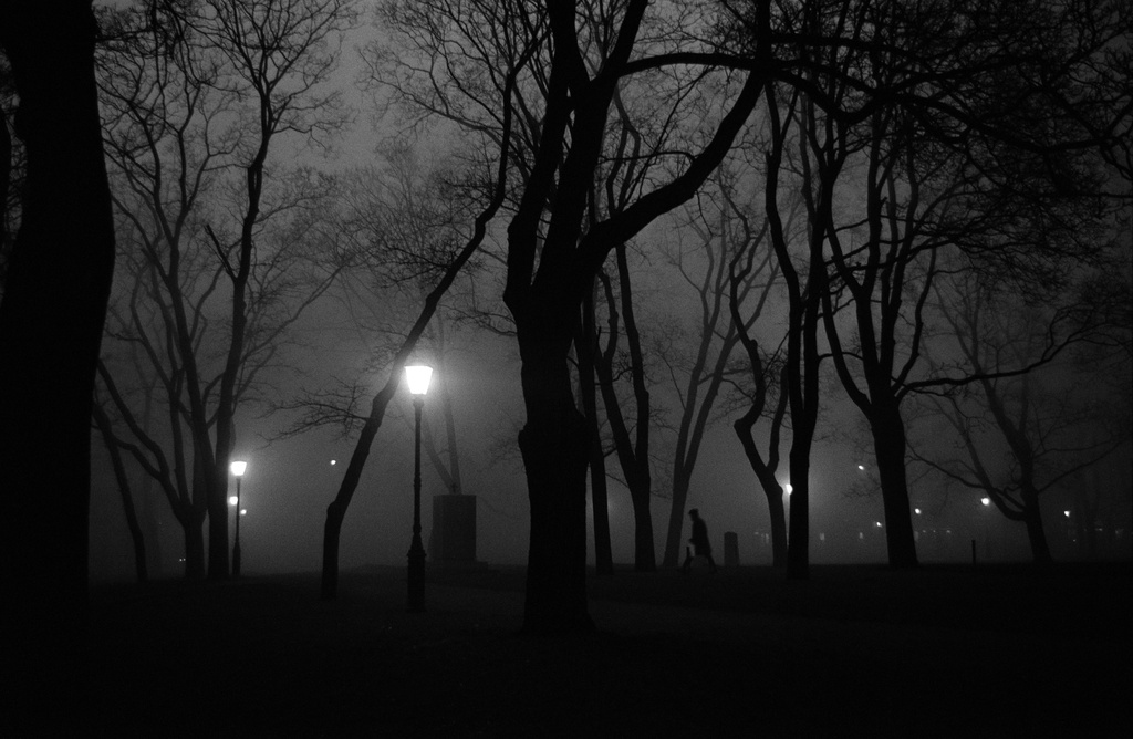 Vanha kirkkopuisto.; negatiivi, filmi, mv