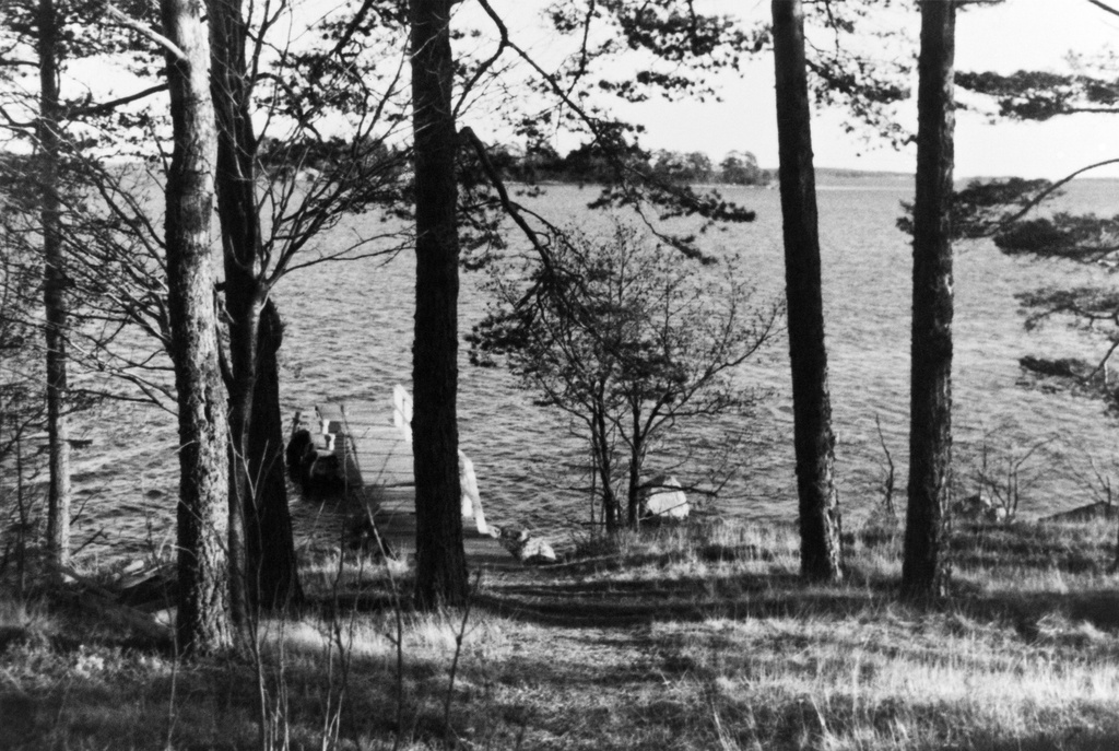 Vuosaari, Kallvik. Schroderuksen huvilan Talluddenin ranta.