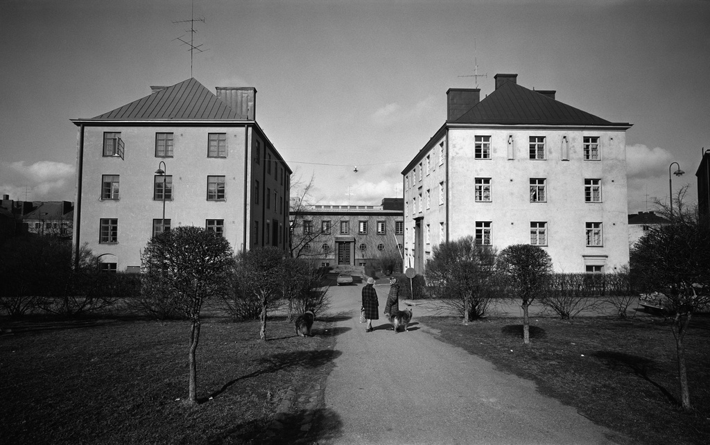 Torkkelinkuja 20, 22. Taustalla Franzeninkatu 13. Kuvassa kaksi naista kahden koiran kanssa.