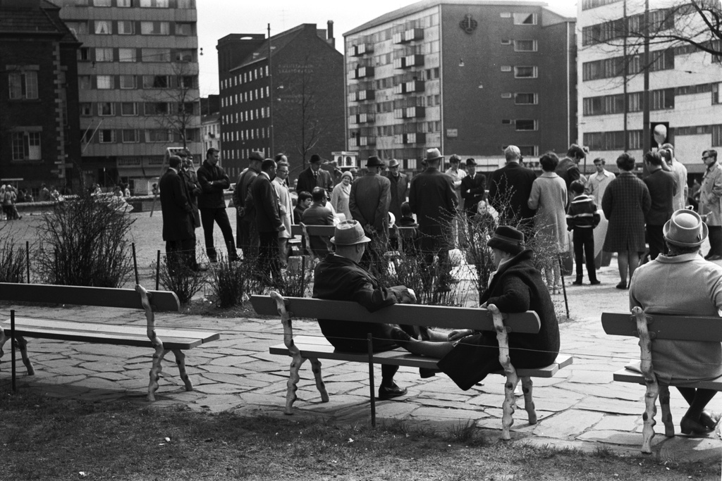 Karhupuisto. Helsingin juhlaviikot. Ihmisiä Karhupuistossa puistotapahtuman aikaan. Etualalla naisia istumassa penkeillä, yksi nainen jalat nostettuna penkille. Taustalla ihmisiä seuraamassa peliä suuren shakkilaudan ympärillä. Näkymä Agricolankadulta päin Viidennen linjan suuntaan.