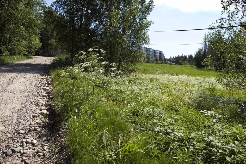 Paukkulanpuisto. Taustalla näkyy Kivijatatie 4:n rakennus. Puiston alueella on sijainnut puolustusvoimien rakentama Malmin ampumarata, joka valmistui vuonna 1937 Helsingissä järjestettyihin ammunnan MM-kisoihin, ja suljettiin vuonna 1993.  Puistossa on maisemallisesti arvokasta puustoa, jota tulee hoitaa elinvoimaisena, ja uudistaa siten että sen maisemallinen arvo säilyy.