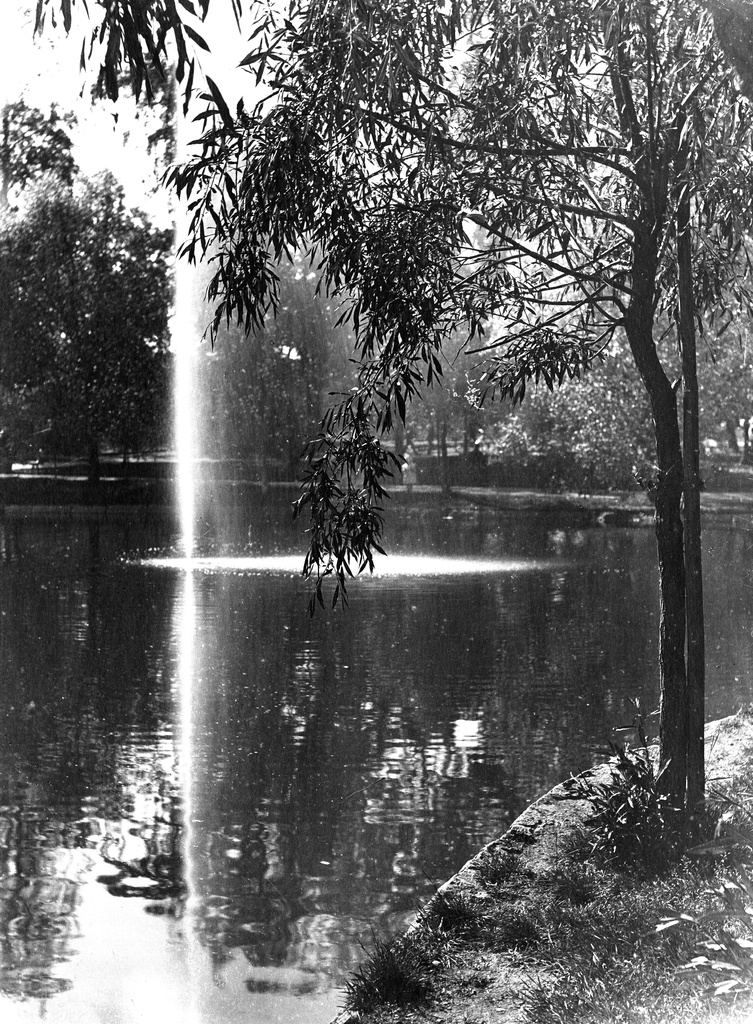 Kaisaniemi, Joutsenlampi.