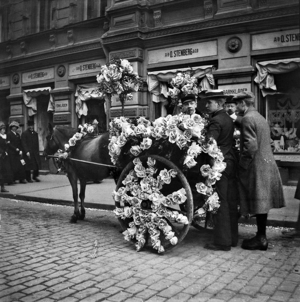 Kukitetut hevosajoneuvot Pohjois Esplanaadikadulla vappuna 1912.