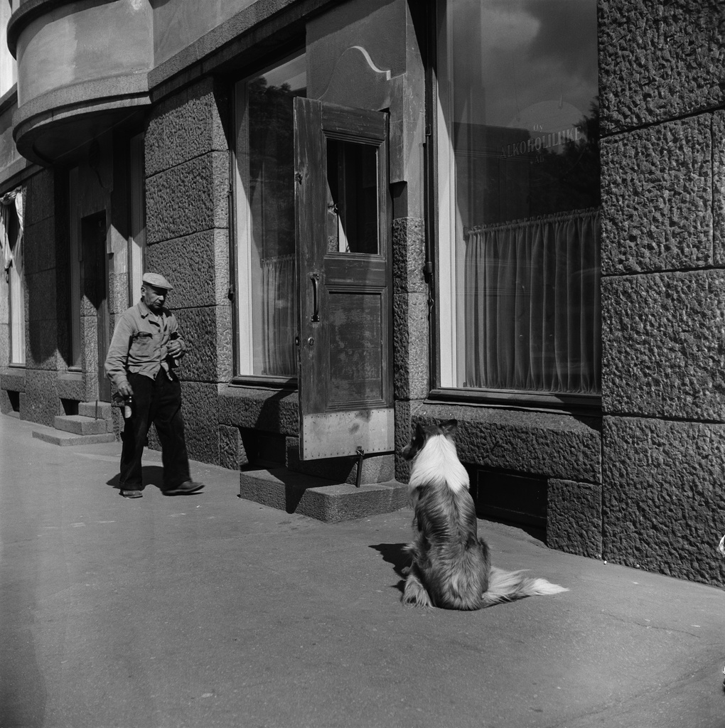 Alkoholiliike, Museokatu 10.