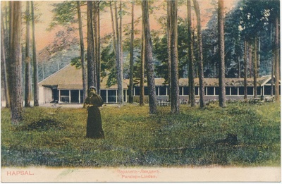 Postcard.breaking in Paralepa. Colorful.  duplicate photo