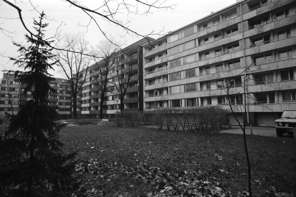Pietarinkatu. Näkymä Pietarinkatu 4:n syksyisestä pihapiiristä länteen. Taustalla Neitsytpolku 5:n / Pietarinkatu 6:n pihan puolta.