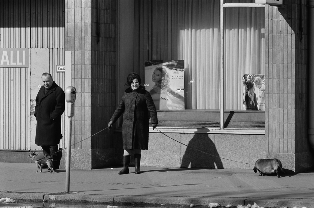 Nainen ulkoiluttamassa kahta koiraa aurinkoisella Pohjoisella Hesperiankadulla. Kevät 1970.
