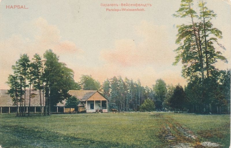Postcard. Paralepa. Colorful.