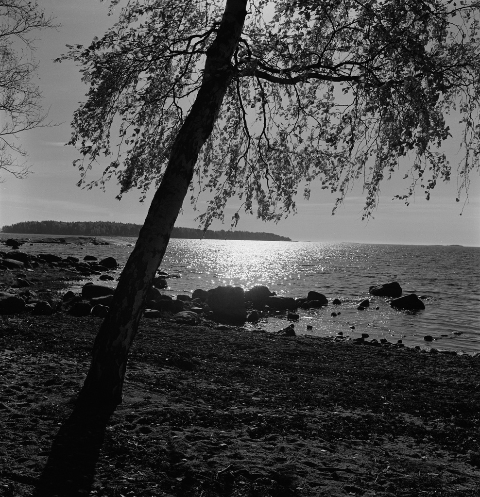 Lauttasaari. Vattuniemi, Veijarivuorenniemi. Taustalla Melkki.