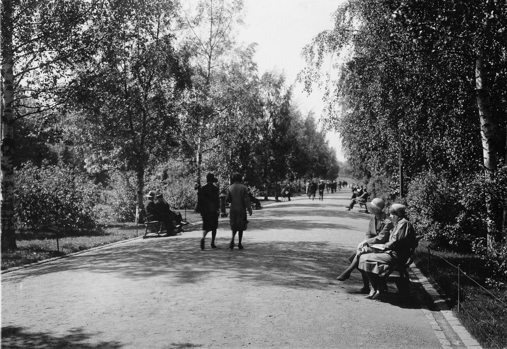 Kaisaniemen puisto.; repronegatiivi vedos pohjustettu, filmi paperi, mv